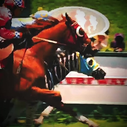 Fascinating Zebra Horse Racing Movie Moments