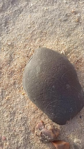 Exploring Geodes: Breaking Open a Unique Rock