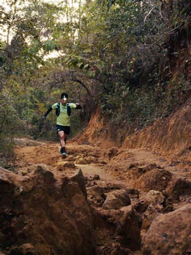 Trail Running Essentials: Prep and Gear Comparison