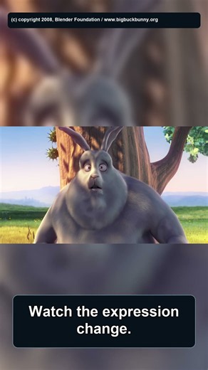 They Picked the Wrong Rabbit 🐰 | Big Buck Bunny