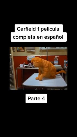 #garfield 1 pelicula completa en español #parati fresita 🍓