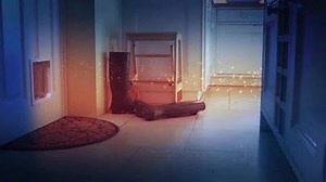 Search Find-a-cat from Cats Protection to see all the cats we have available in your area. | Cats Protection