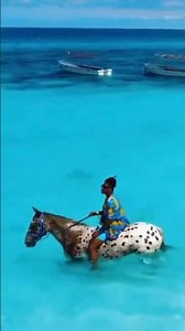 Explore the Beauty of Zanzibar | Beaches, Culture & Island Adventures 🏝️✨