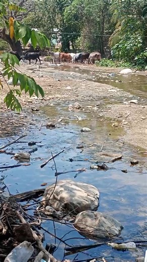 Videos de Luna 12 (@luna23estas1) con “sonido original - leonorsanchez174”