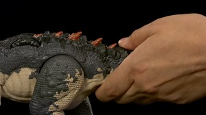 Mattel Jurassic World Gigantic Trackers Action Figure, Mapusaurus Dinosaur Toy with Mega Bite Rampage Attack, Evolution Back Spikes & Digital Play