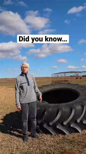 How much do tractor tires cost? 🚜💰🤯 #farmfacts #farmers #granny | Gatlin Didier