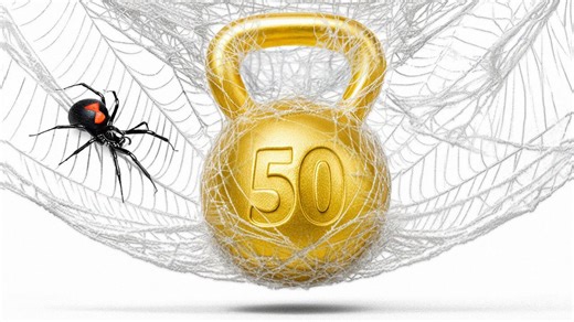 How much weight can a spider web hold?