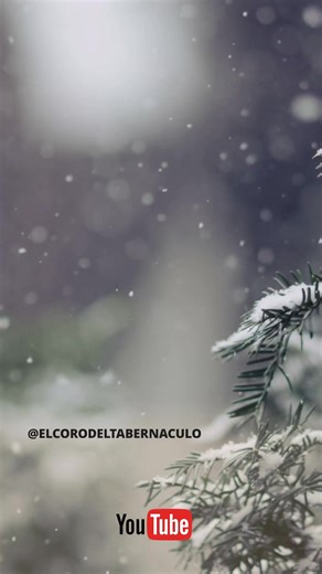 ¡Celebre con el Coro del Tabernáculo y la Orquesta de la Manzana del Templo en esta temporada especial de la Navidad! Reúnase con familiares y disfrute de los villancicos y mensajes de amor, paz y esperanza en cada programa de Música y Palabras de Inspiración. Visite nuestro canal de YouTube para ver estos episodios especiales. | The Tabernacle Choir at Temple Square