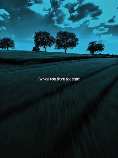 Lyrics of Popular Songs: Shape of You & More