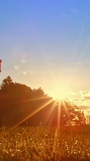 2.3K views · 59 reactions | Did you know: Heat stress in horses can...