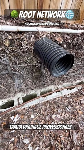 How to Keep Roots Out of Drainage Pipes - French Drain