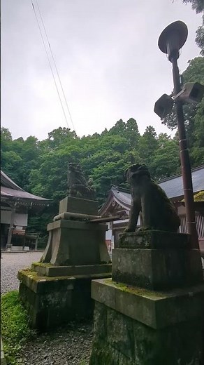 【五社巡りの中心地】戸隠神社 中社 #戸隠神社 #神社 #パワースポット #長野県