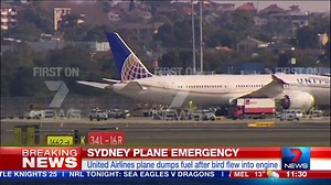 United flight 840 dumps fuel after striking bird over Sydney. 308 people on board. Latest: http://yhoo.it/29aqFCV #7News | 7NEWS Brisbane