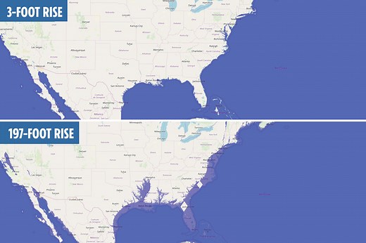 Sea level 'doomsday' simulator shows whether your home would be wiped out by rising oceans