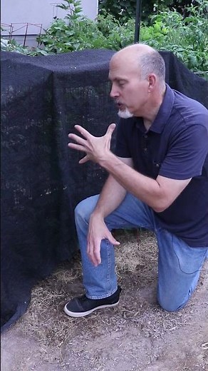 Using Shade Cloth in Your Garden