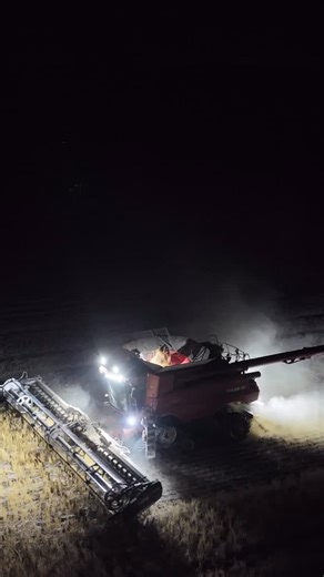 Last night harvesting the chickpeas 🚜🧑‍🌾✨ #KirklandAg #australianfarmers #farminginaustralia #australianagriculture #aussieag #regionalnsw #outbackliving #lifeontheland #harvest2025 #wheat #agriculture #farmer #farming #farmlife #chickpea #caseih #mymoree #tractor #machinery @dust.n.diesel | Kirkland Ag