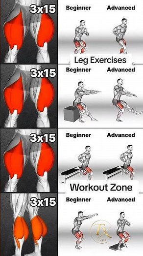 ‎What are the BEST Leg Extension Exercises #Cardioexercise #exercise #workout #legexercise #leg