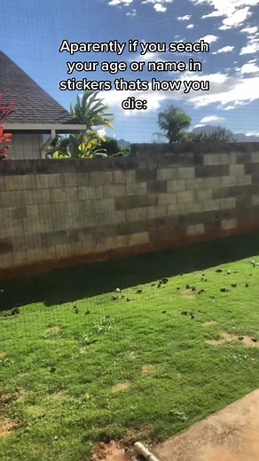 Try and do this if you dare😳