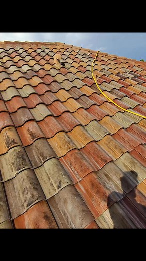 Come to work with me. $500 in 1hour. Tips from the Boss Lady: when your machine dumps 5.5 gpm you must move like a cat. I was taught to walk backwards. That way I don’t step on wet slippery tiles. Do not attempt at home. Non experienced people can walk directly off a roof or trip over vents. | Boss Lady Pressure Cleaning LLC