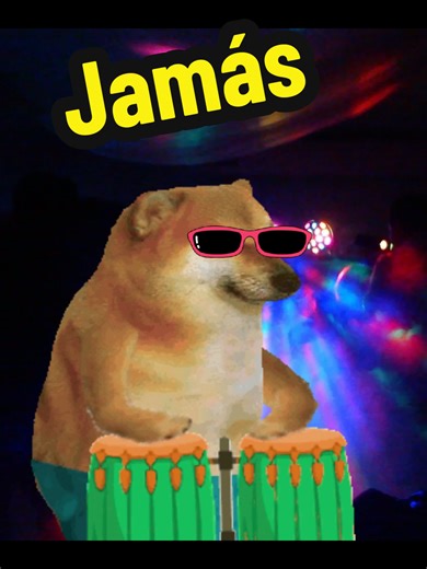 #jamasjamas #salsa #salsaromantica #cheems | salsa dancing