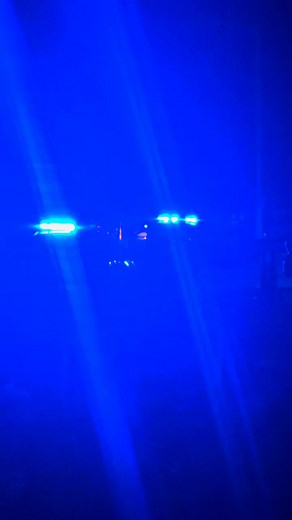 107K views · 278 reactions | Volvieron a correr como hormigas en la...