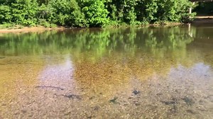 Good morning! Wanna float this weekend?? The water looks great! 🌞 🛶 | Huzzah Valley Resort