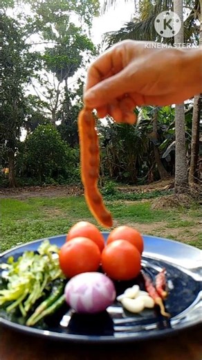 Mouth Watering Tomato Makha 🍅 #shorts #tomatomakha # food #recipe