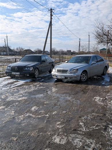 в продаже лисичка по низу) #w140 #кабан #mercedes #мерседес #продажаавто