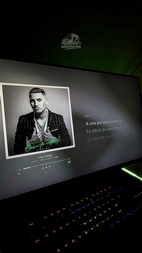 COMO TE EXTRAÑO - LENIER #lyrics_songs #lenier #rolitas #pyp #videolyrics