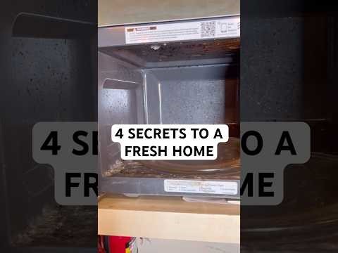 4 Secrets To a Fresh Home #odorremoval #odoreliminator #odoban #freshhome