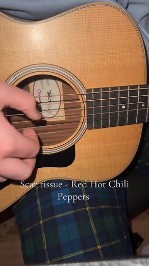 Playing 'Scar Tissue' by Red Hot Chili Peppers on Guitar