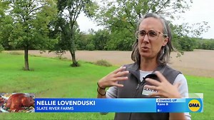 Farmers say price of Thanksgiving turkeys will skyrocket