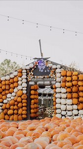 Kuwahara’s Pumpkin Patch & Thriller Park Open this Friday Sept 22 until Oct. 30th! 👻✨ Don’t miss out on the fun - tickets are selling fast! 🔥 Buy tickets online vvv https://www.kuwaharawholesale.com 🎃Kuwahara’s famous pumpkin patch 💥 All new live shows - live music, fire shows, light shows and more 👻 Halloween Main Street attraction 🎉Bounce Houses 🧙‍♀️ Once Upon a Time attraction 🎶 Live DJ 🎸 Live Music 📸 Photo Ops 🌽 Corn Maze 🌭 Food Trucks 🧟‍♀️ Zombie Paintball TICKETS ON SALE NOW H