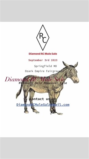 There is still time to get your mule consigned to the Fall Select Sale. Call or Text 660.281.1592 for more information. Diamond RC Mule Fall Select Sale at Ozark Mule Days in conjunction with the Missouri Mule Makeover Select Sale. ONLINE BIDDERS download the Horse Auctions USA app or visit Bid.horseauctionsusa.com | Missouri Mule Makeover/Ozark Mule Days