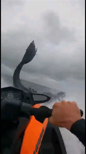 Shocking Siren Attack on Jetski – Real or Hoax? Footage Goes Viral