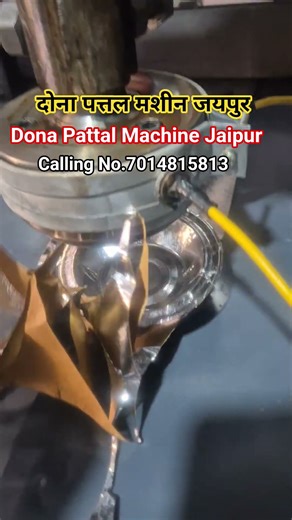 Dona Pattal Ka Business kaise kare | Dona Pattal wali machine Jaipur