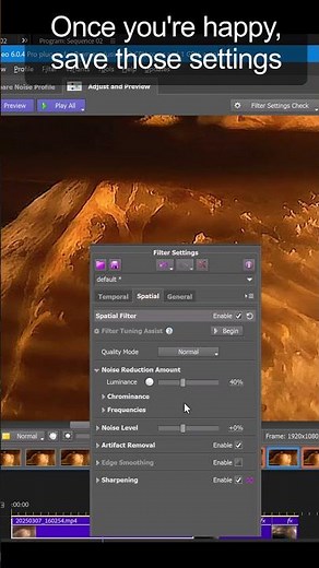 DID YOU KNOW? Save filter presets in Neat Video