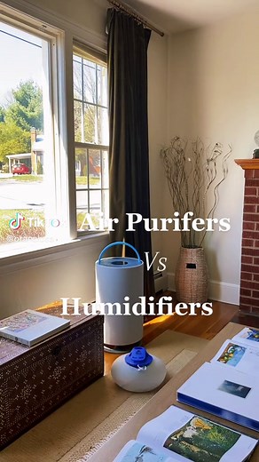 Air Purifiers vs. Humidifiers: Understanding the Key Differences