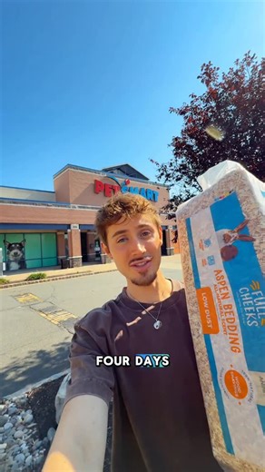 The Pig Room | Part 1: In my five years of being a guinea pig owner, I’ve never left my piggies for more than 24 hours…so dare I say, I am very nervous... | Instagram