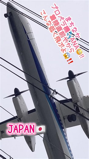 🟢まちなかプロペラ機✈️ANA😳‼️着陸直前やからこんな低く飛んでるよ😱‼️みんなで見よう🥰🩷#飛行機 #aviation #aviationlovers #ana #shorts