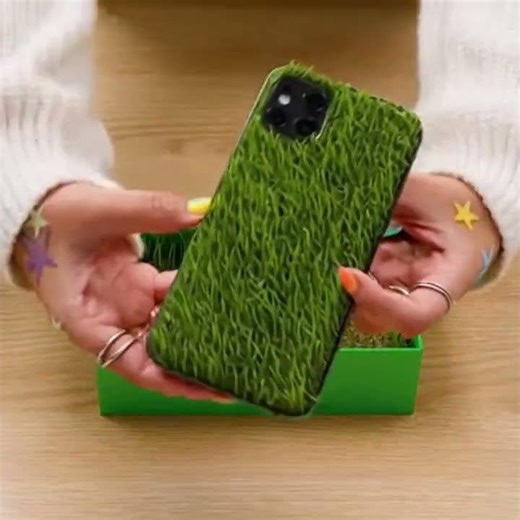 The Touch Grass Phone