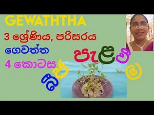 Gewaththa. 3 - ශ්‍රේණිය, පරිසරය, ගෙවත්ත, 4 කොටස.