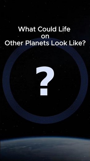 What Could Life on Other Planets Look Like?