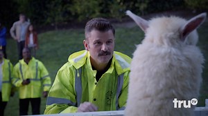 Go behind the scenes of the alpaca rescue from the series premiere of TACOMA FD! Catch the full episode now on the truTV app or On Demand. #TacomaFD | truTV