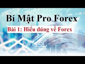 Bí mật Pro Forex Bài 1 - Hiểu đúng về Forex - Đầu tư Forex Cơ Bản đến Nâng Cao