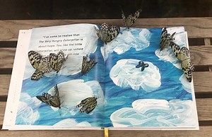 1.1K views · 84 reactions | Follow us today on our field trip to meet some animals in the new book, Eric Carle Loves Animals. The book is out today! Purchase it in the Carle Bookshop! Penguin Kids Magic Wings Butterfly Conservatory Hitchcock Center for the Environment ZOO in Forest Park and Education Center The Eric Carle Museum of Picture Book Art Western Mass Rabbit Rescue The World of Eric Carle | The Eric Carle Museum of Picture Book Art | Facebook