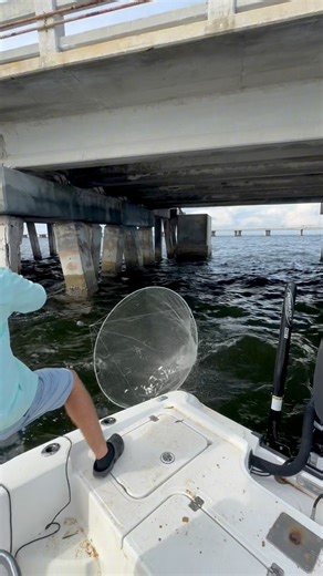 This is two different methods to catch bait throwing a cast net and using a hoop net . #fishing #bait | Groupermvp
