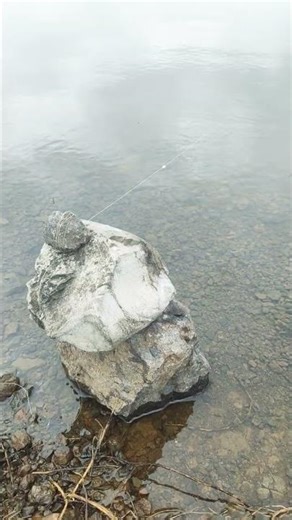 #newfishingvideo#newupdate #profifishingwithabhi