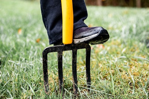 When and How Do You Aerate Your Grass?