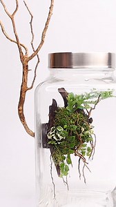 TerraArt 🌿🍃🎨 #terrarium #terrascape #TerraArt | The Urban Nemophilist